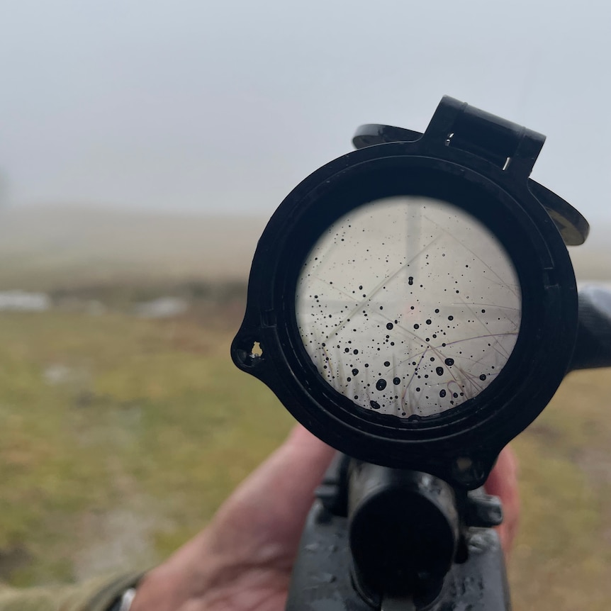 Looking down the scope of a rifle.