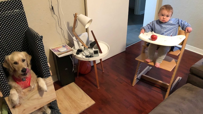 Holly (l) and Thomas (r) sit in their highchairs