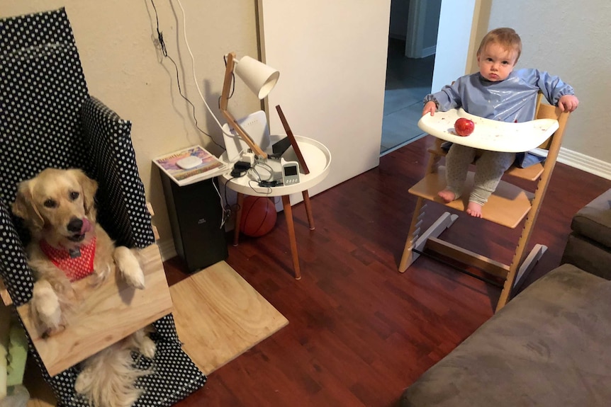 Holly (l) and Thomas (r) sit in their highchairs