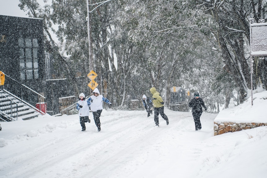 people wearing snow gear run through a snow fall at falls creek
