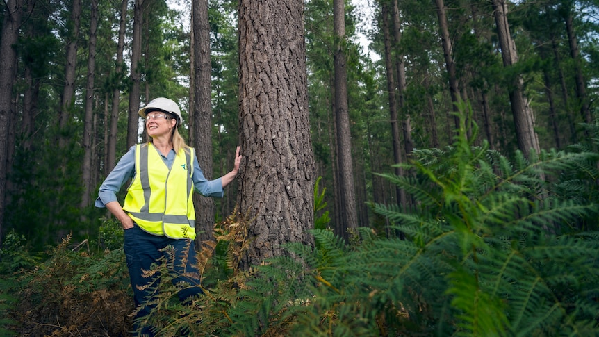 Danielle Wiseman forestry researcher