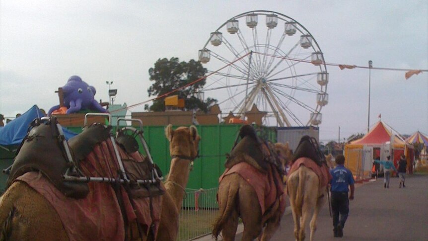 Record crowds at 2011 Newcastle Show