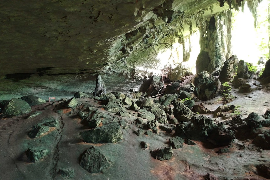 Inside Trader's Cave