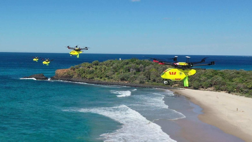 Little Ripper shark drones