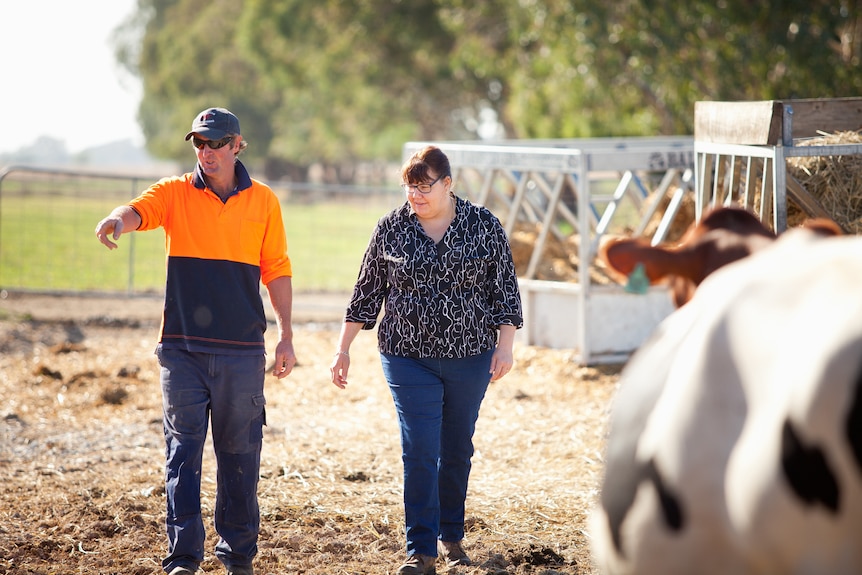 A woman wearing goggles and a man in high visibility walk into a stockyard. 