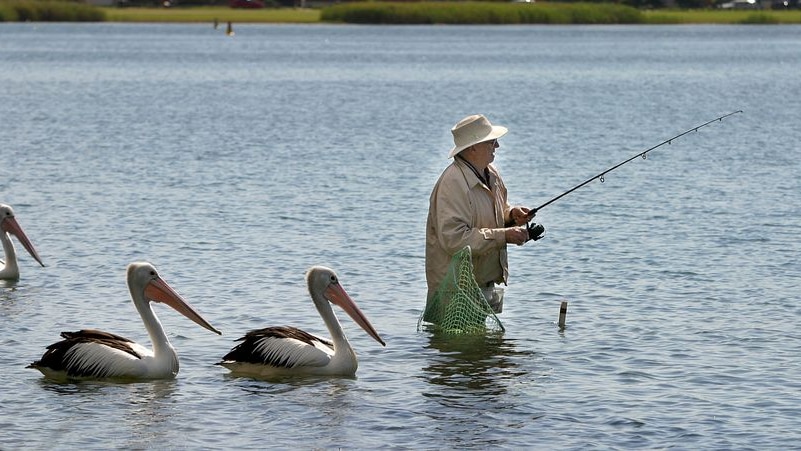 In the past, grandparents tended to be retirees with more time available, but Bob Birrell says they are now more likely to work full-time (File photo).