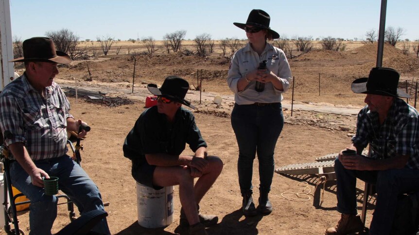 Four people wearing broad-brimmed hats and work clothes nurse drinks against the backdrop of dusty farmland.