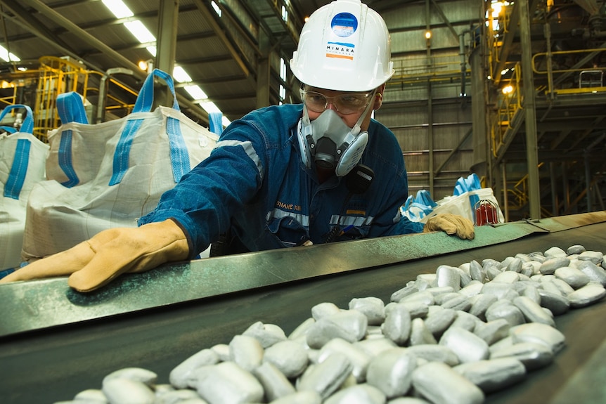 Man wearing blue work shirt, hard hat, gloves and mask standing over a conveyor belt with cobalt briquettes