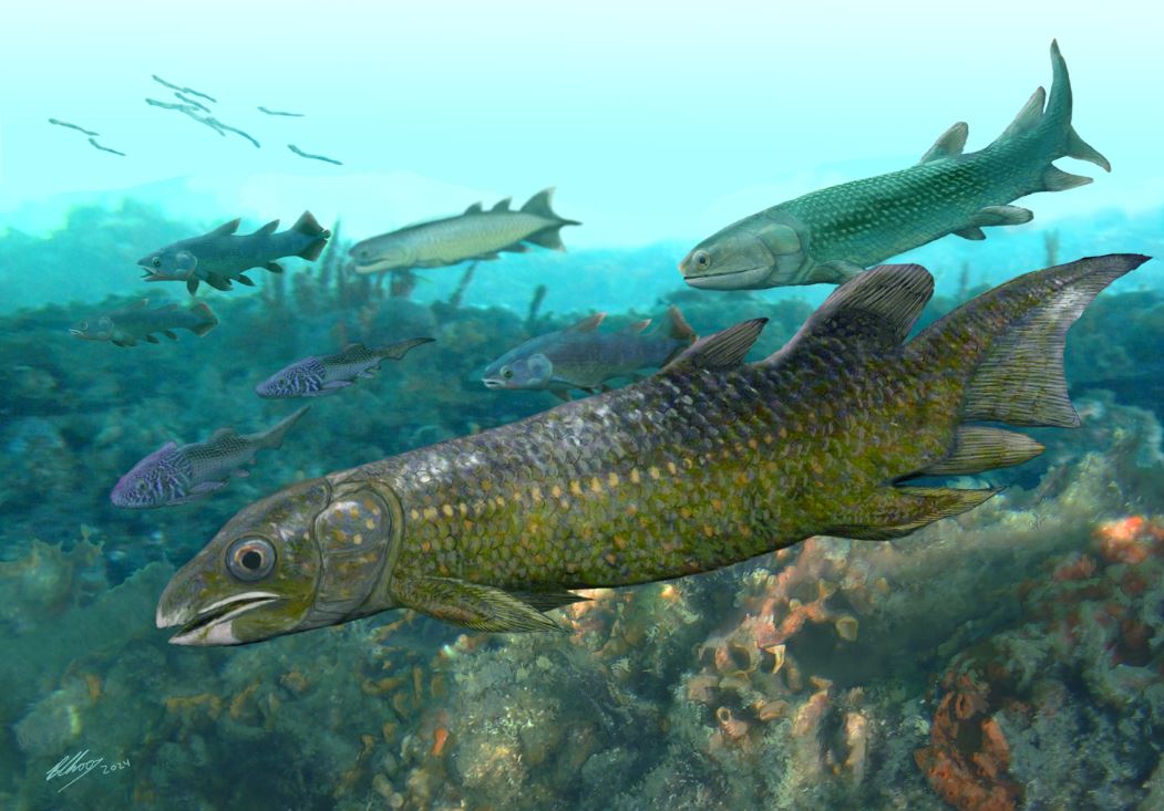 Fossils to unravel secrets of ancient seabed buried beneath outback