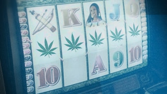 A graphic of a poker machine with marijuana leaves.