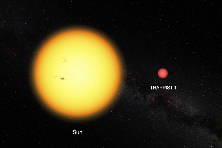 Graphic showing difference between our sun and TRAPPIST-1