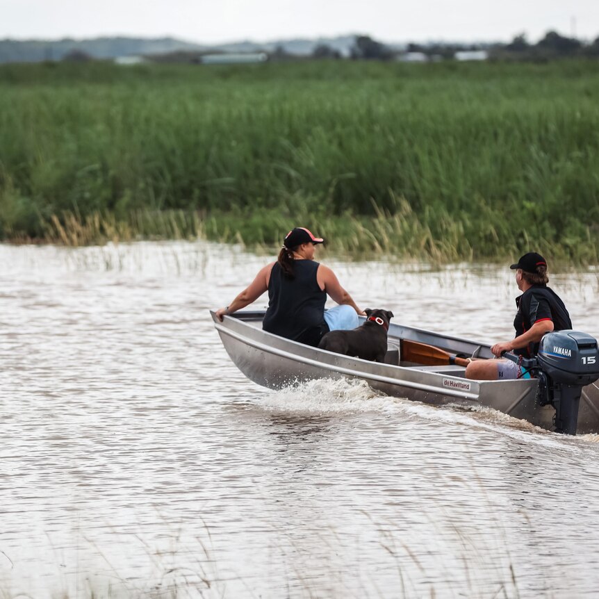 A pair drive a tinnie along a flooded section of the Pacific Highway