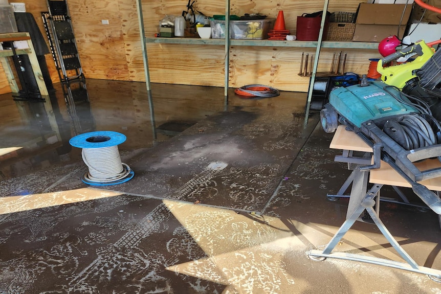 mud and silt on the floor.