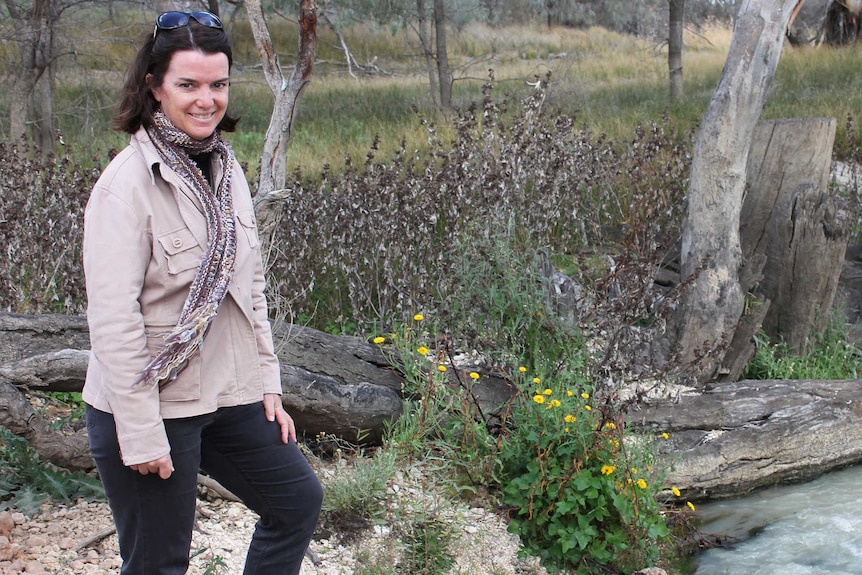 Riverland irrigator and Liberal Senator Anne Ruston became the Assistant Agriculture and Water Resources Minister in 2015