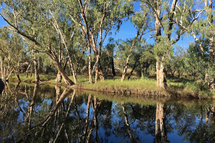 The McArthur River near Borroloola.