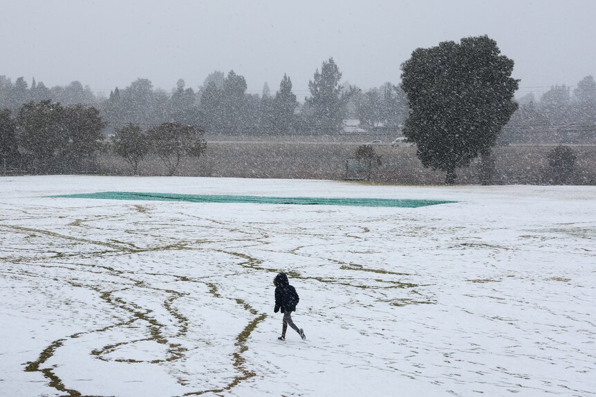 A small hooded figure walks on snow-covered ground