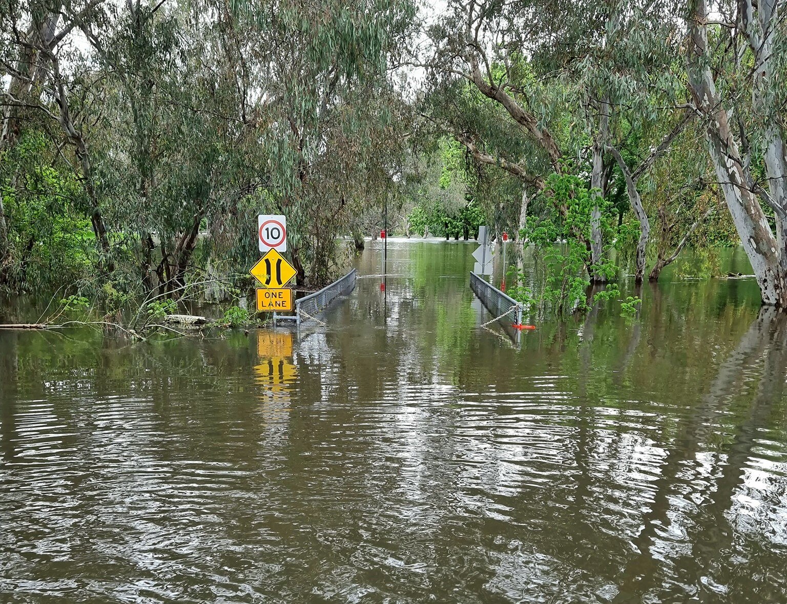 A flooded park with a 10 kilometre speedway sign jutting out of the water 