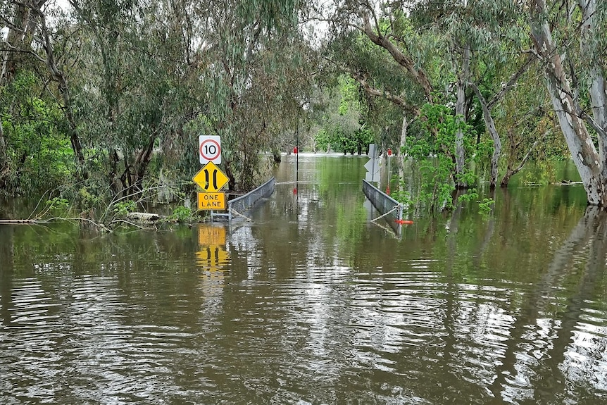A flooded park with a 10 kilometre speedway sign jutting out of the water 