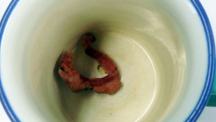 A piece of bacon inside a tea cup.