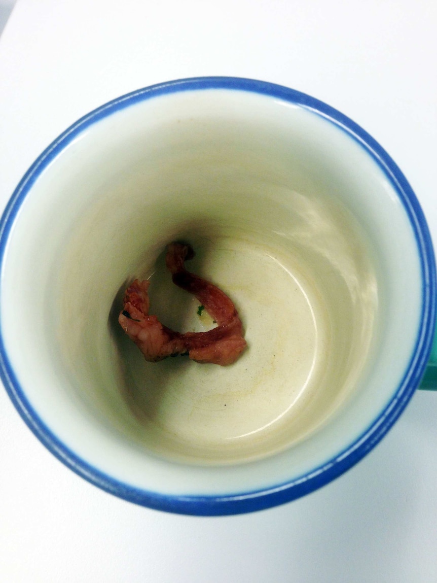 A piece of bacon inside a tea cup.