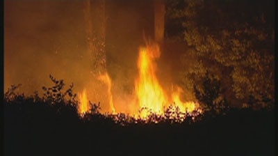 The fires have destroyed three houses.