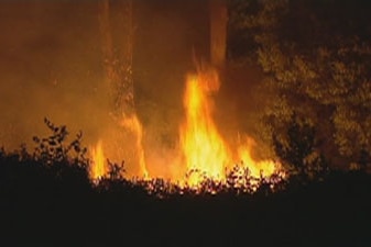 Rawson and Erica in Gippsland and settlements around Mt Buller are under threat. [File photo]