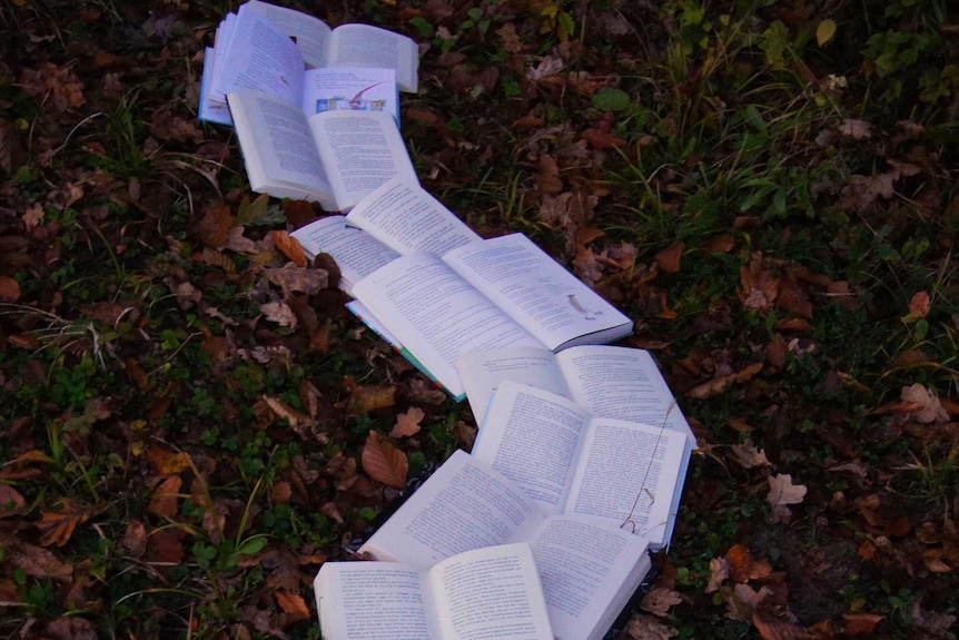 Books on leaves