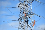 Workers are seen high up on a pylon.