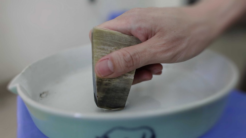 A man shows how to use the ceramic grinding plate with a piece of rhino horn in Hanoi on April 24, 2012