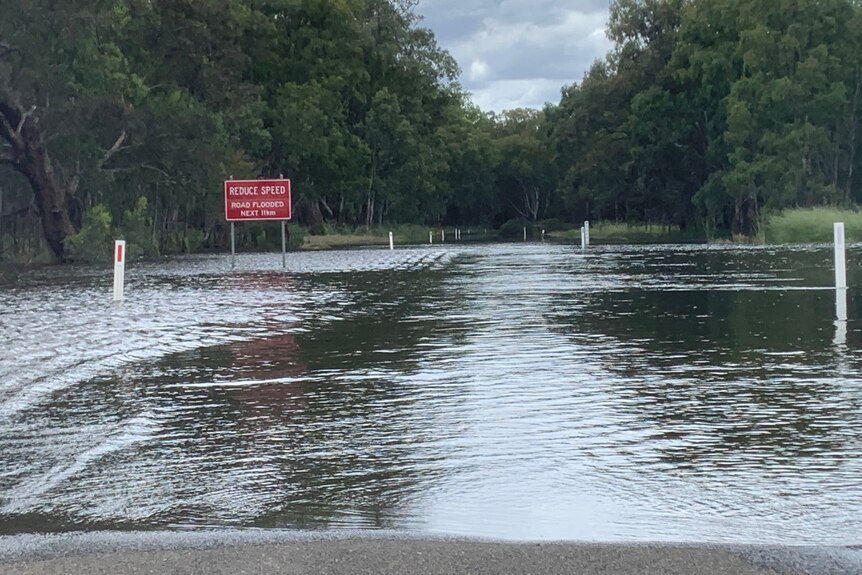 Bedgerabong road to Forbes covers with floodwater