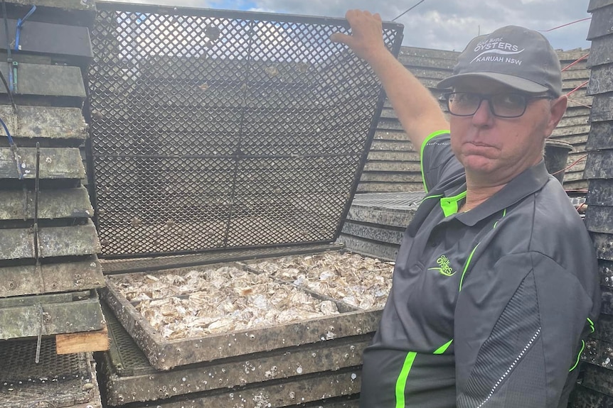 A man wearing a navy shirt lifts a grate above a crate of oysters