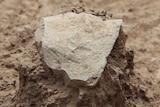 Stone tool