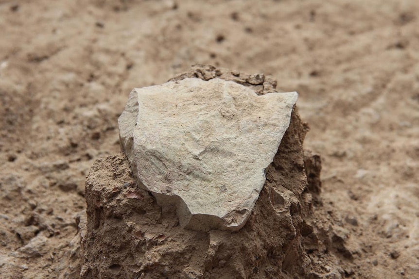 Stone tool