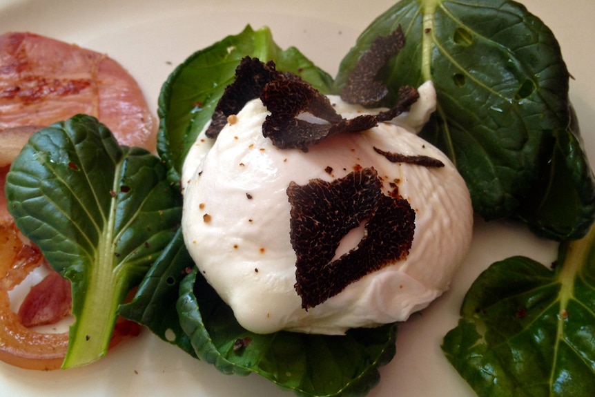 Shaved truffle on a poached egg on tatsoi with bacon on the side.