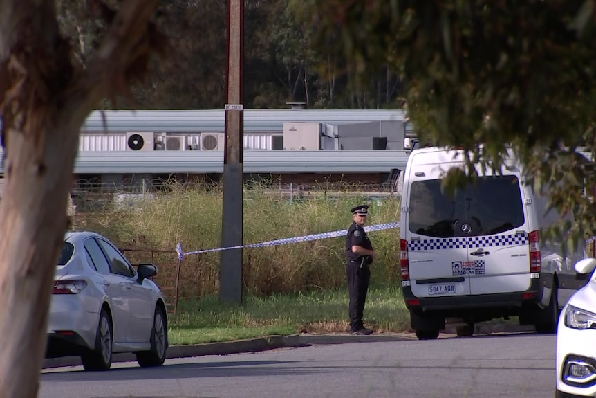 police officer standing near police van and car 