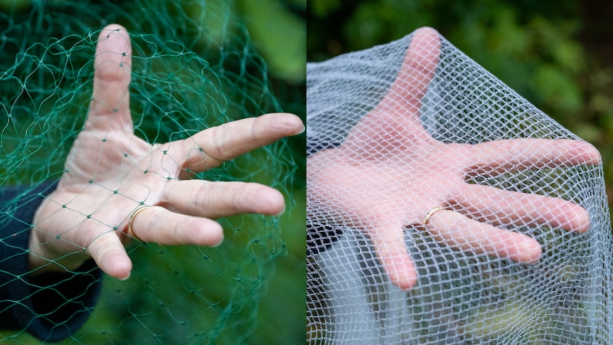 A hand holding large-gauge fruit netting on the left, and holding wildlife-friendly netting on the right. 