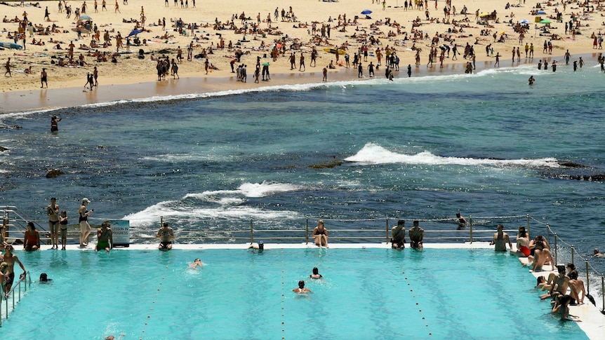 People swim at a Bondi beach pool and the beach in hot weather