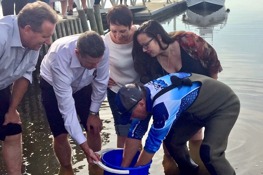 Local politicians stand knee deep with a bucket and a man in waterproof overalls.