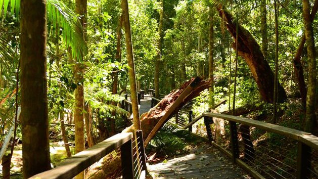 Damage to Central Station boardwalk on Fraser Island