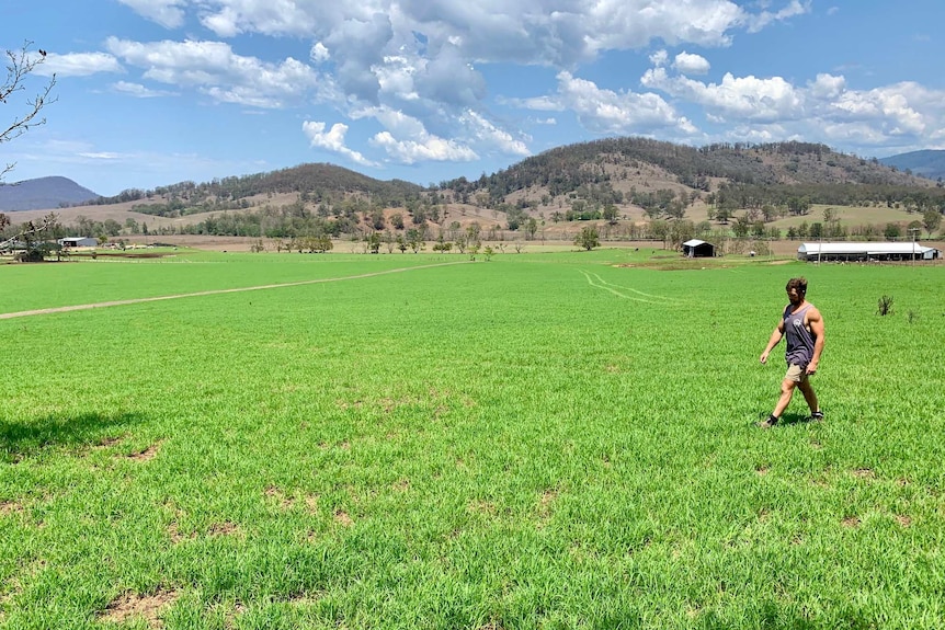 Tom Middlebrook walks through paddock of bright green grass