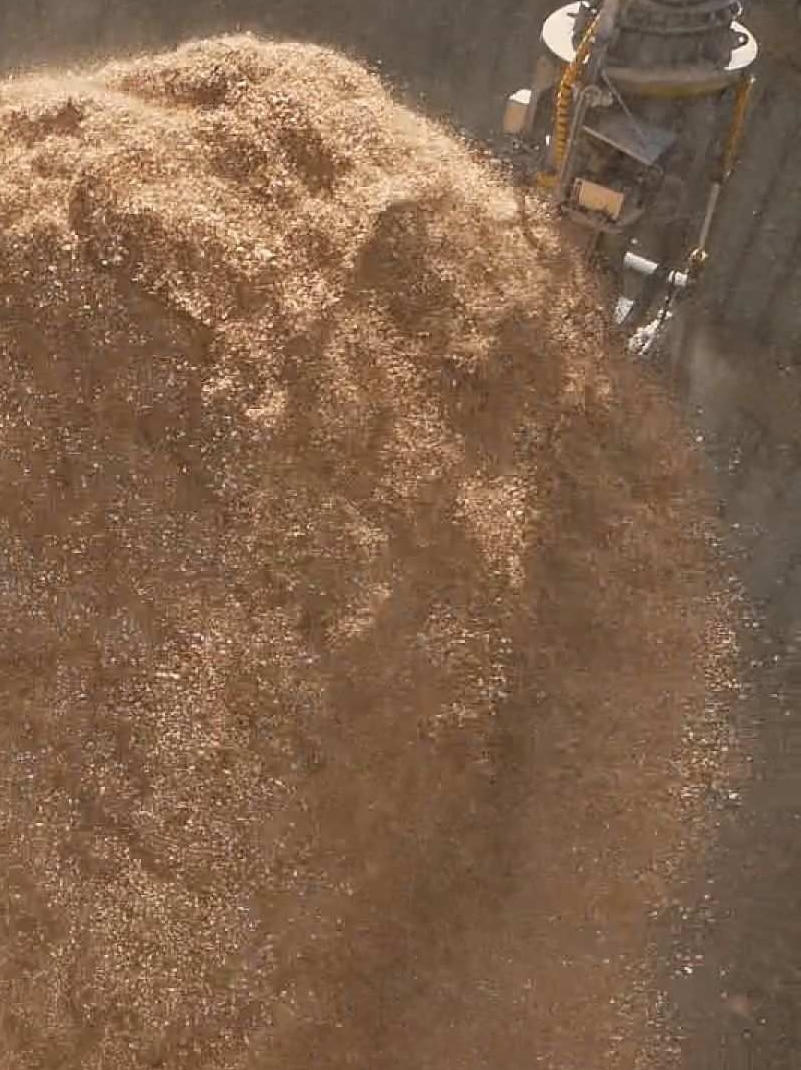 A load of woodchips in a container.