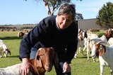 Stud breeder Carole Axton in the paddock with her Boer goats in Gippsland Victoria.