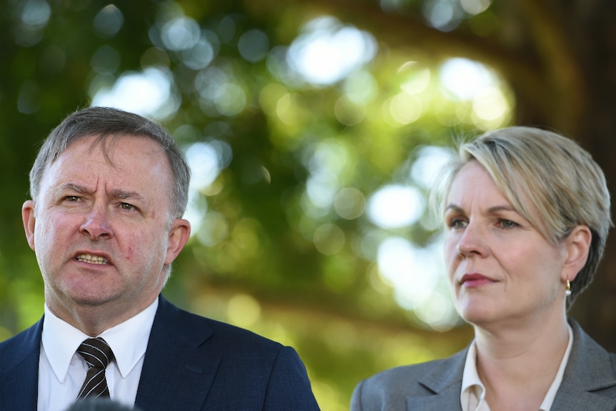 Anthony Albanese and Tanya Plibersek address the media.