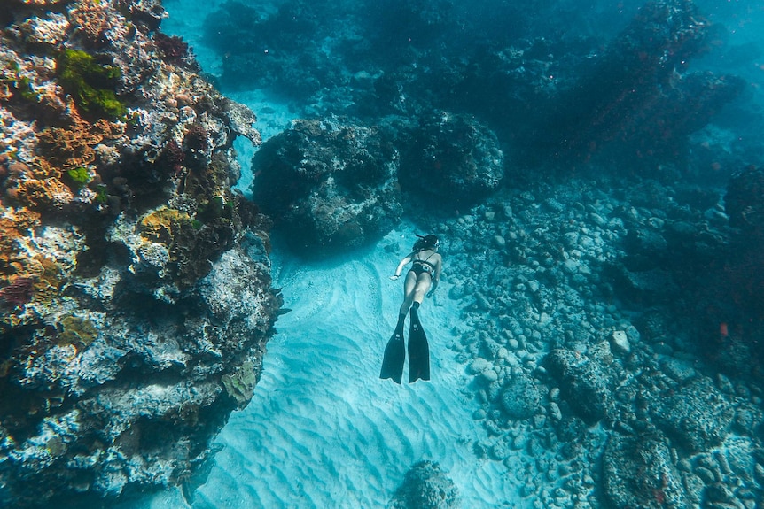 Underwater short of person wearing flippers and snorkels swimming near the ocean floor.