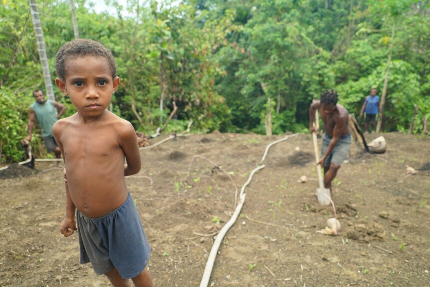 A young boy watches a man dig holes for yams.