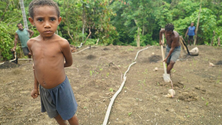 A young boy watches a man dig holes for yams.