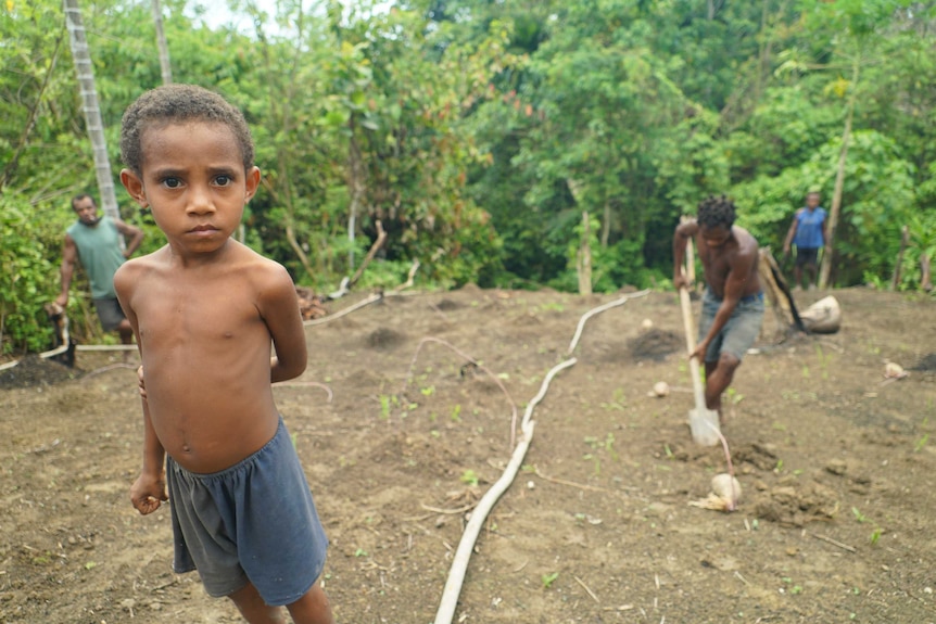 A young boy watches a man dig holes for yams.