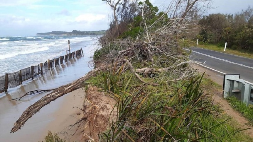 A roadway alongside a very small area of ocean foreshore with eroded sand dunes and protective fencing.