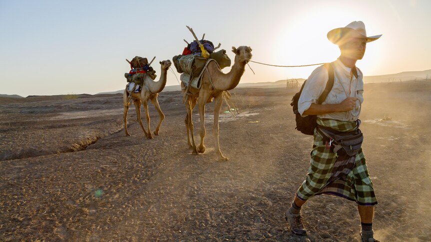 Paul Salopek leads pair of camels across the Afar desert