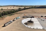 canola delivered to ROBE